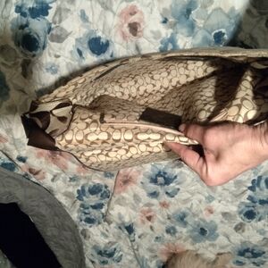 Coach Tan Satchel Elegant Design